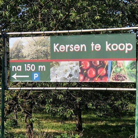 Gastenverblijf op de Prins Hendrik Hoeve in Buren Villa Buren  Buitenkant foto