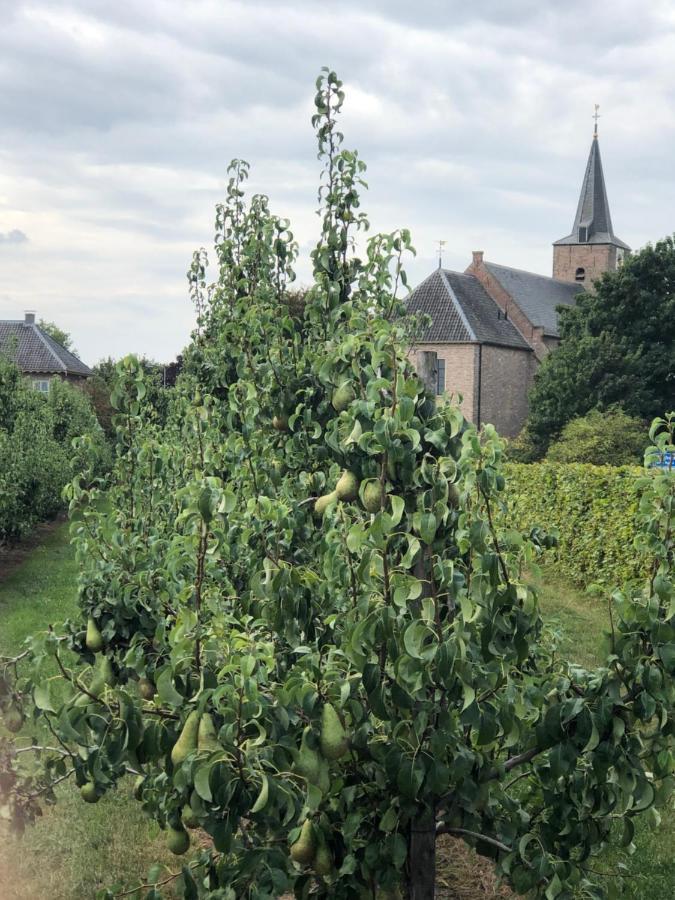 Gastenverblijf op de Prins Hendrik Hoeve in Buren Villa Buren  Buitenkant foto