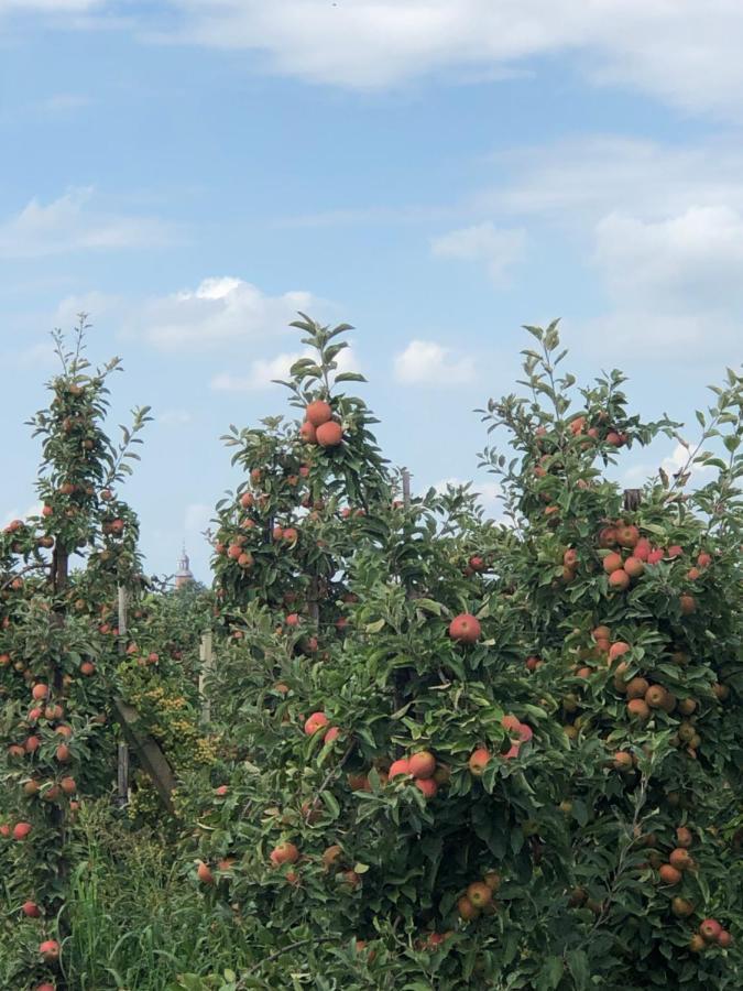 Gastenverblijf op de Prins Hendrik Hoeve in Buren Buren  Buitenkant foto