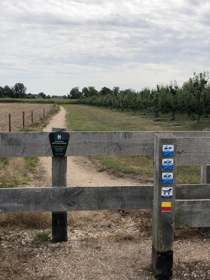 Gastenverblijf op de Prins Hendrik Hoeve in Buren Villa Buren  Buitenkant foto